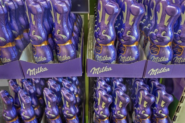 Shelf with Milka chocolate bunnies, supermarket, Bavaria, Germany, Europe