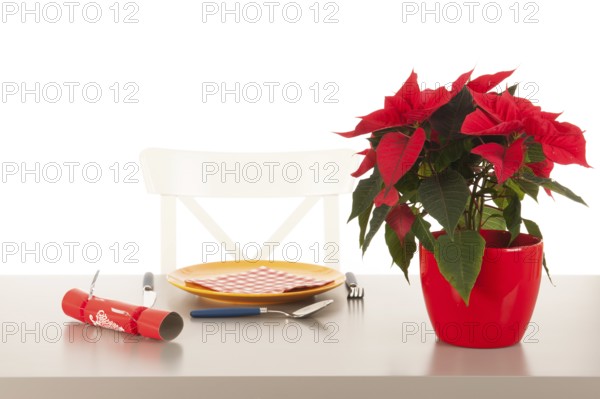 Loneliness in Christmas time