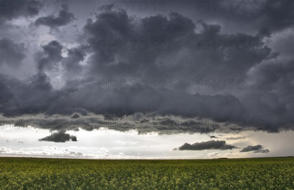 Prairie Storm Clouds Canada Saskatchewan Dramatic Summer