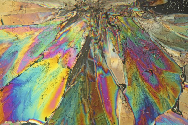 Sugar crystals under the microscope and in polarised light