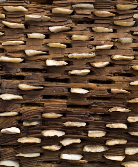 Threshing board for wheat of aged wood and stones texture vintage pattern