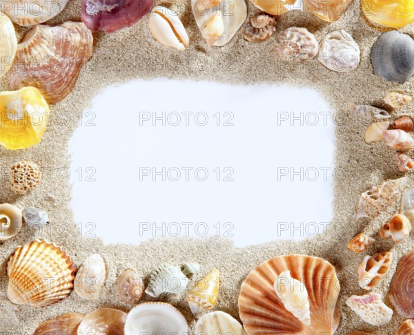 Border frame with summer beach shells and blank copy space paper