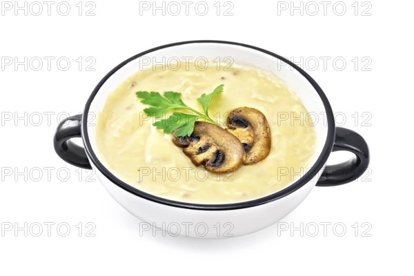 Soup puree with champignons in the bowl isolated on white background