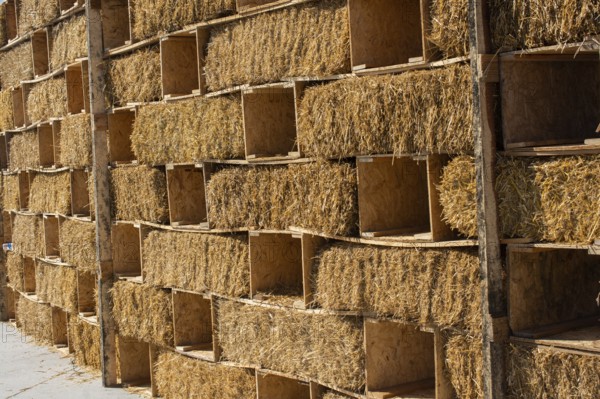 Harvesting in agriculture bales of hay are stacked in large stacks