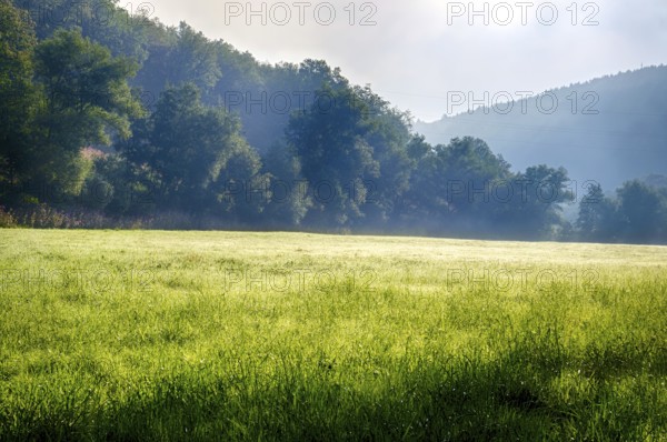 Morning atmosphere with fog