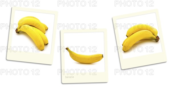 Thre Old Style Photos Of Banana Over White Background