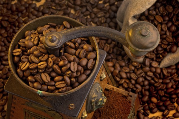 Many coffee beans lying next to a coffee grinder. Freshly ground coffee Austria