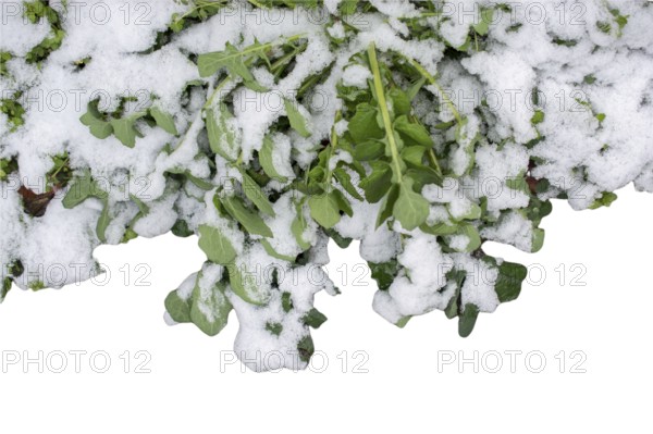 Stylish backgrounds and with elegant minimal pattern. Abstract modern textures. Trendy Design