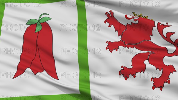 Arauco City Flag, Country Chile, Closeup View