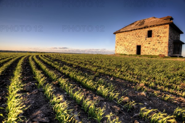 Sunset Light Saskatchewan Farm abandoned Stone House