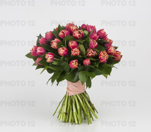 Bouquet of spring flowers on white background
