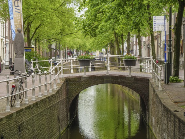 A charming bridge over a canal in a residential area with lush vegetation, delft, the netherlands