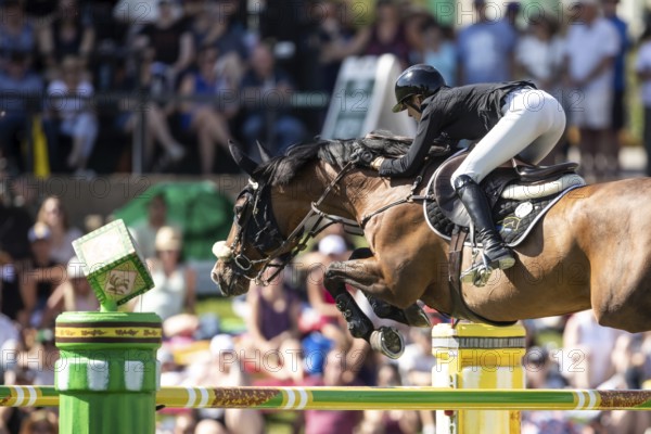Katie Laurie of Australia and riding Django II compete in the first round of the 1.60m CPKC International during the Spruce Meadows Masters, presented by Rolex, in Calgary, Alberta, Canada, North America