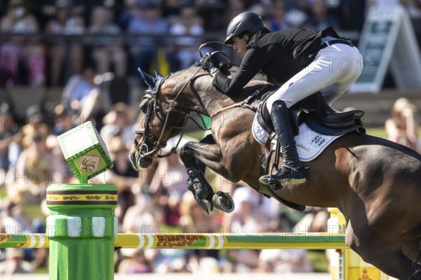 Vaclav Stanek of Czech Republic and riding Quintin compete in the first round of the 1.60m CPKC International during the Spruce Meadows Masters, presented by Rolex, in Calgary, Alberta, Canada, North America