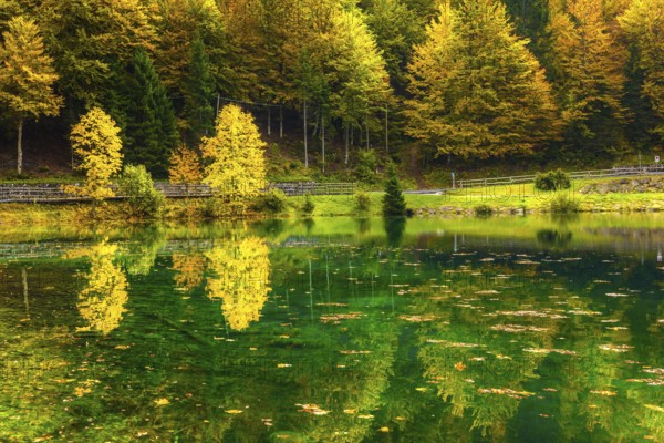 The quiet lake Lago de Fusine. Concept of cultural and ecological tourism. High water after a rain. Fantastically beautiful forests are reflected in the green water