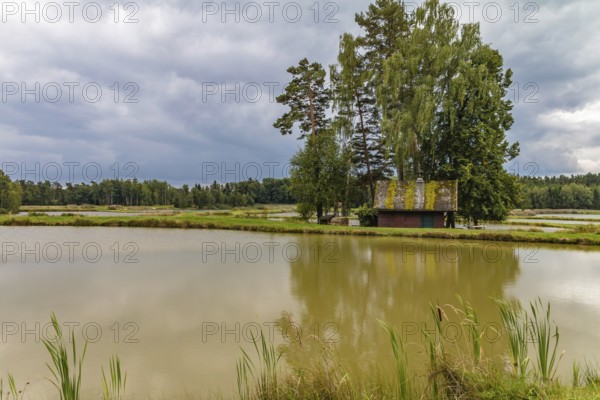 In the east of the district of Tirschenreuth lies a unique pond area, the Tirschenreuther Teichpfanne. Around 2, 500 ponds are lined up next to each other like a string of pearls. Kaolin, which is also used to make porcelain, forms the subsoil for this pond landscape. The pond pan is part of a geological rift valley, without which this amphibious natural landscape would not exist
