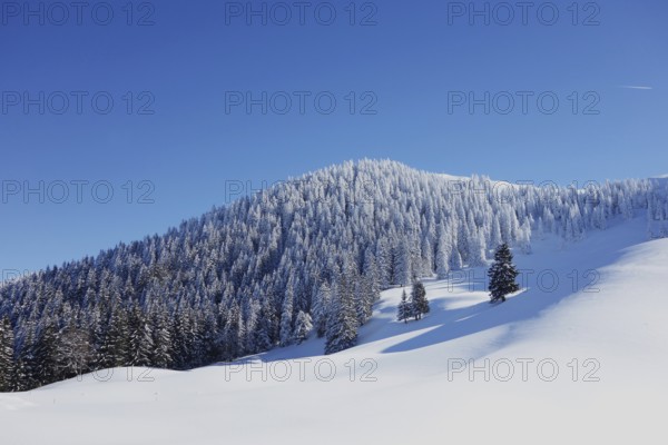 Bavaria mountains alps prealps alm alpe seekaralm seekakreuz lenggries bad_tölz tegernsee winter ripe white cold pattern fog flakes snowflakes bright idyll wind