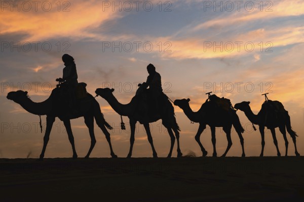 Silhouette of a caravan traveling through the desert at sunrise or sunset. Sahara, Morocco, Africa