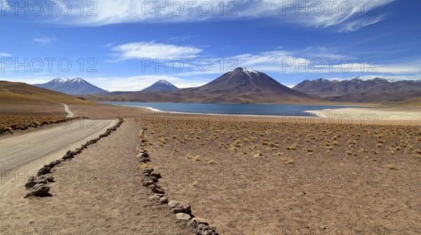 Laguna Miscanti in the Atacama Desert in Chile