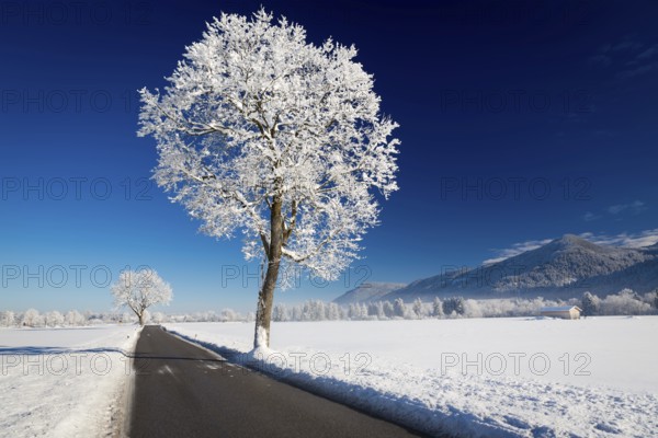 Winter landscape on a sunny day. Allgäu, Germany, Europe