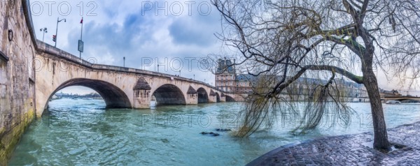 Cloudy day in Paris with a willow on the shore of the Seine River and the bridge Pont Royal, in France