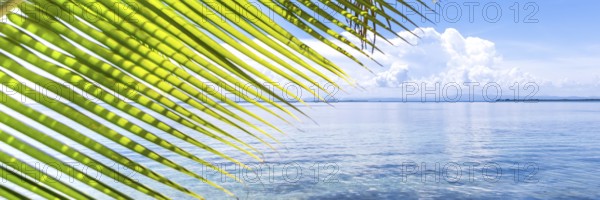 Belize, a tropical paradise in Central America. Web banner in panoramic view, Central America
