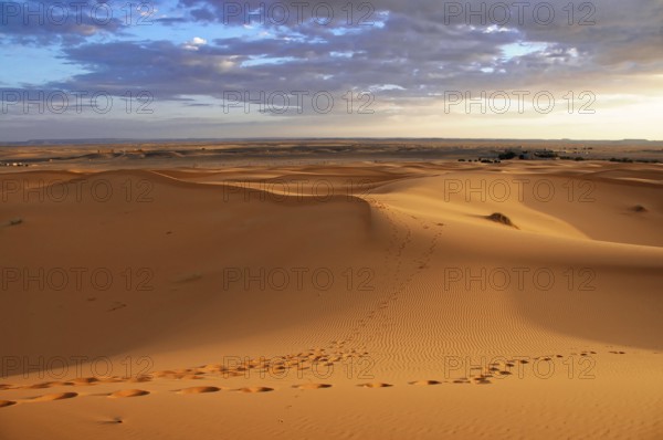 Endless sand dune landscape with footprints in the soft desert sand, sand dunes of Erg Chebbi, Erfoud, Middle Atlas, Morocco, Africa