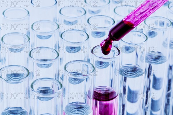 Many test tubes during an experiment in a university research laboratory. Symbolic photo for learning and research. Austria