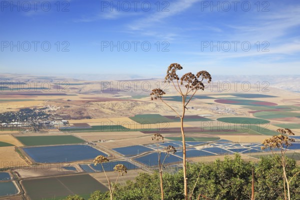 Blooming Isreel Valley in Israel. Fields, meadows and villages were photographed from the hill Gilboa