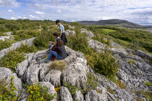 Burren National Park, The Burren, County Clare, Ireland, United Kingdom, Europe