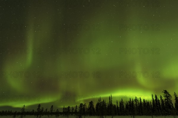 Northern Lights (Aurora borealis) over snowy landscape, Gällivare, Norrbotten, Lapland, Sweden, November 2012, Europe