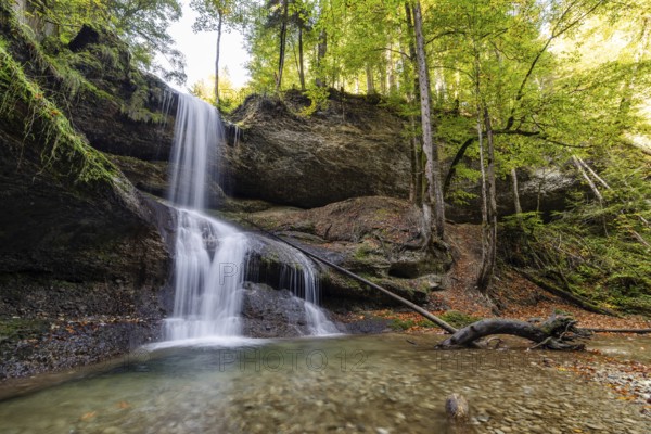 A waterfall in a dense forest with tall trees and moss-covered rocks that create a peaceful scene, Hasenreuter Wasserfall, Scheidegg, Bavaria, Germany, Europe
