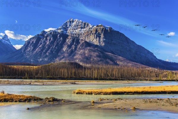 Indian summer in the mountains of Canada. On coast of the Abraham lake the autumn multi-color woods Concept of ecological and active tourism