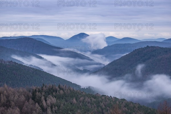 Landscape shot with cloudy sky and fog in the valley. View from a rock in the middle of forest and nature. Viewpoint in the morning in the Palatinate Forest, Germany, Europe