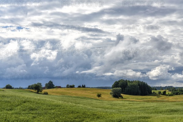 Masuria