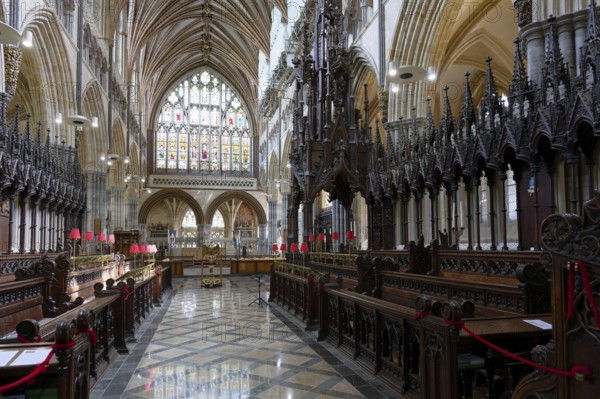Interior view, choir stalls, Exeter Cathedral, Exeter, England, Great Britain
