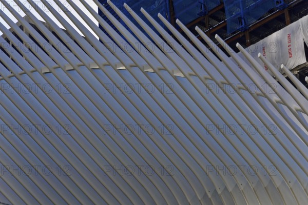 Freedom Tower or One World Trade Centre, South Manhattan, New York City, New York, USA, Modern architectural structure with white rods. Futuristic design in an urban environment, Manhattan, North America