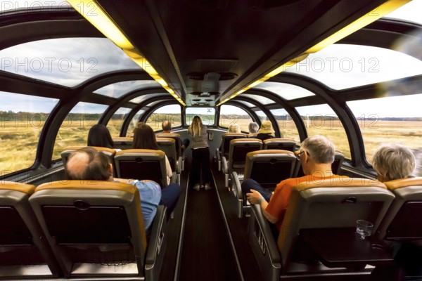 View from the window of a moving train with flowery landscape