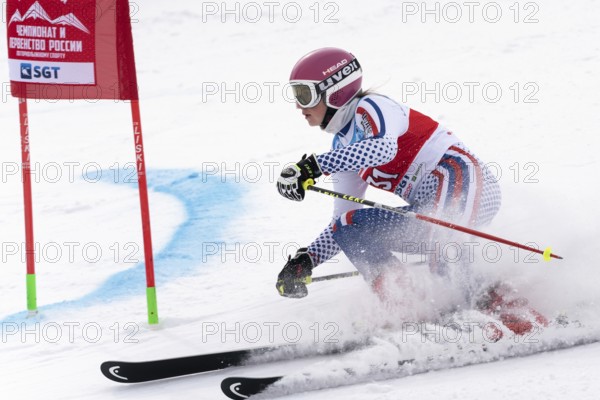 KAMCHATKA PENINSULA, RUSSIA, APRIL 2, 2019: Russian Women s Alpine Skiing Cup, International Ski Federation Championship, giant slalom. Mountain skier Kryukova Dariya Chelyabinsk skiing down mount