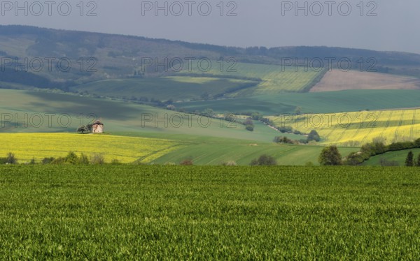Rural abstract landscape with rolling hills and windmill in South Moravia, Czech Republic, Europe