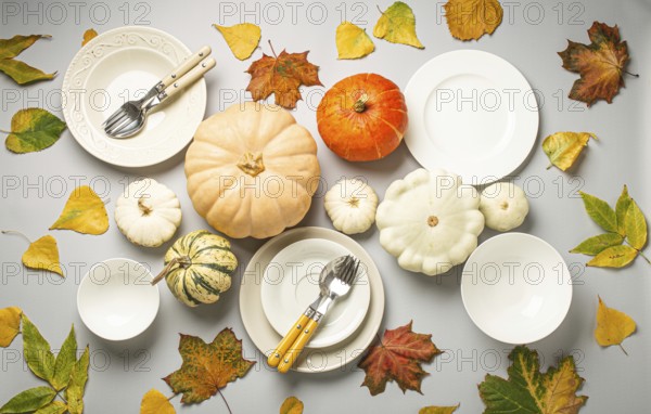 Thanksgiving festive table composition with different colourful pumpkins, autumn leaves, empty plates with cutlery on light grey background table ready for party and celebration, food photography, food photography