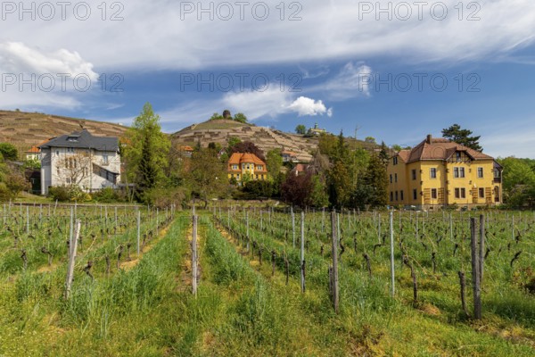 Radebeul
