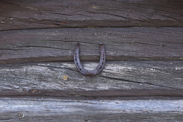 Closeup of old rusty horseshoe hanging on log wall