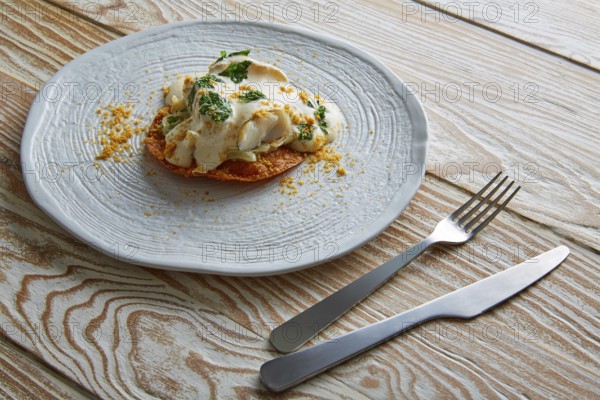 Fish with mayonnaise and parsley on crunchy tortilla molecurar gastronomy