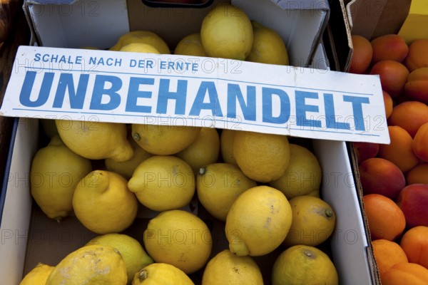 Untreated Lemons at a marketstall, Hanover, Lower Saxony, Germany, Europe, unbehandelte Zitronen an einem Marktstand, Hannover-Linden, Niedersachsen, Deutschland, Europa, Europe