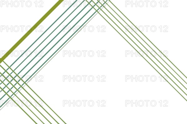 Trendy Design for print, package, decor. Geometric patterns