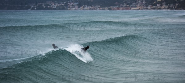 Surfer on a wave