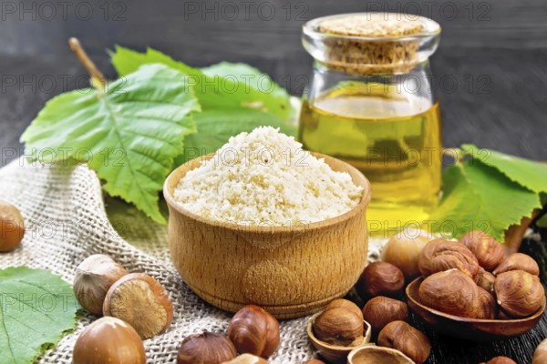 Hazelnut flour in a bowl, nuts in a spoon, oil in glass jar and filbert branch with green leaves on burlap on black wooden board background