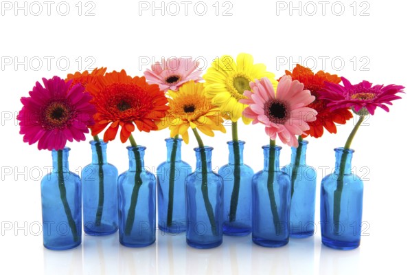 Row blue glass vases with colorful flowers isolated over white