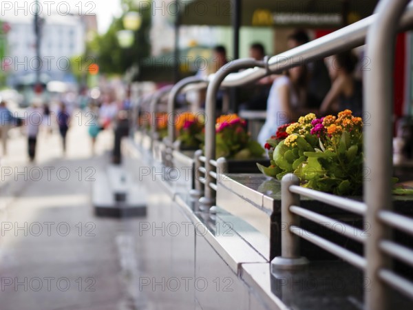 Flowers in city outdoor cafe